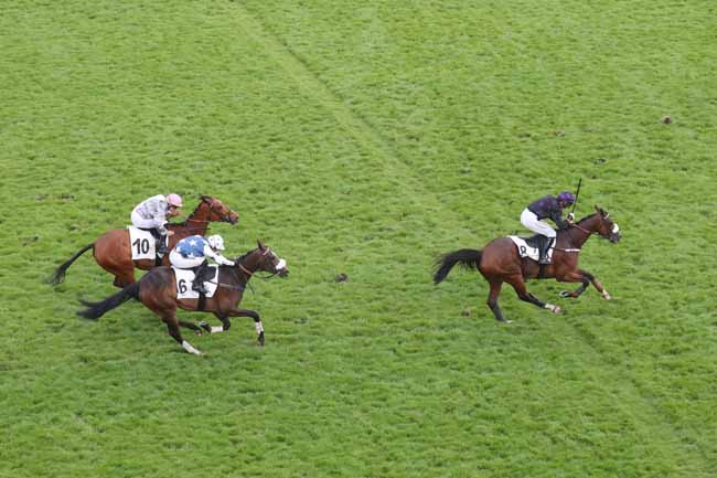 Photo d'arrivée de la course pmu PRIX RMC DECOUVERTE (PRIX WILD RISK) à AUTEUIL le Dimanche 19 mai 2024