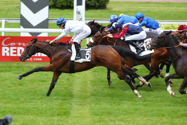 Photo d'arrivée de la course pmu PRIX ANGERS INFO (PRIX D'EVENTARD) à ANGERS le Mardi 21 mai 2024