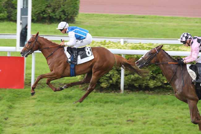 Photo d'arrivée de la course pmu PRIX DE PUYCHARIC à ANGERS le Mardi 21 mai 2024