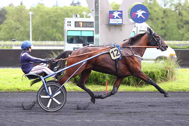 Photo d'arrivée de la course pmu PRIX FABRICIUS à PARIS-VINCENNES le Mardi 21 mai 2024