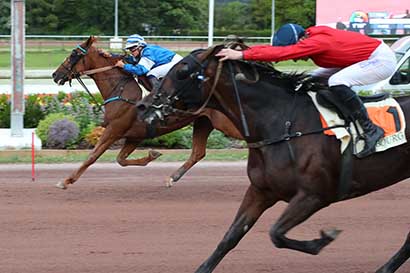 Photo d'arrivée de la course pmu PRIX DE RANES à CABOURG le Vendredi 5 juillet 2024