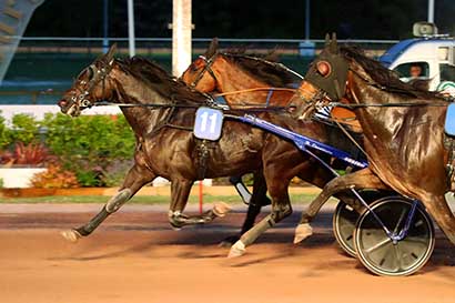 Photo d'arrivée de la course pmu PRIX SUPER U DE COLOMBELLES (PRIX UNAT RENCONTRE FRANCE-SUEDE) à CABOURG le Vendredi 5 juillet 2024