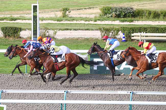 Photo d'arrivée de la course pmu PRIX DE ROCHEVILLE à DEAUVILLE le Samedi 6 juillet 2024