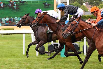 Photo d'arrivée de la course pmu PRIX LES PROFS (PRIX D'ELLON) à CLAIREFONTAINE le Jeudi 11 juillet 2024