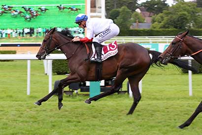 Photo d'arrivée de la course pmu PRIX CAMOMILLE & LES CHEVAUX (PRIX DE BIENVILLE) à CLAIREFONTAINE le Jeudi 11 juillet 2024