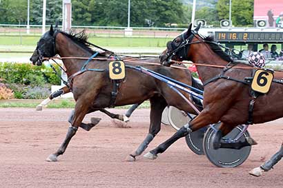 Photo d'arrivée de la course pmu PRIX DES PIVOINES à CABOURG le Vendredi 12 juillet 2024