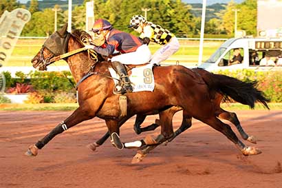 Photo d'arrivée de la course pmu PX MCDONALD'S DIVES-SUR-MER (PRIX DES ASTRAGALES) à CABOURG le Vendredi 12 juillet 2024