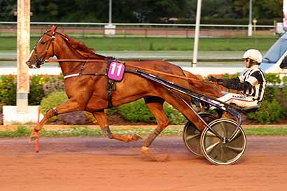 Photo d'arrivée de la course pmu PRIX DES HEMEROCALLES à CABOURG le Vendredi 12 juillet 2024