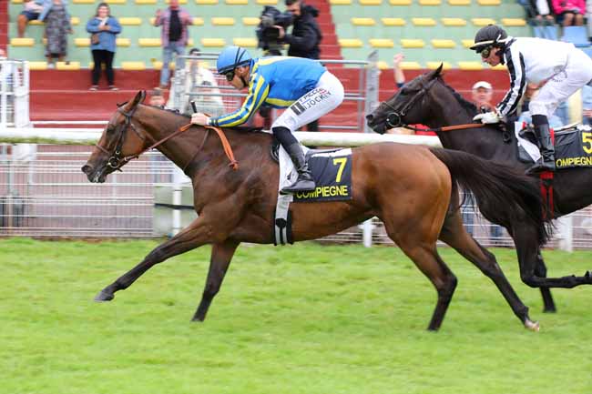 Arrivée quinté pmu PRIX DE FRESNOY-LA-RIVIERE à COMPIEGNE