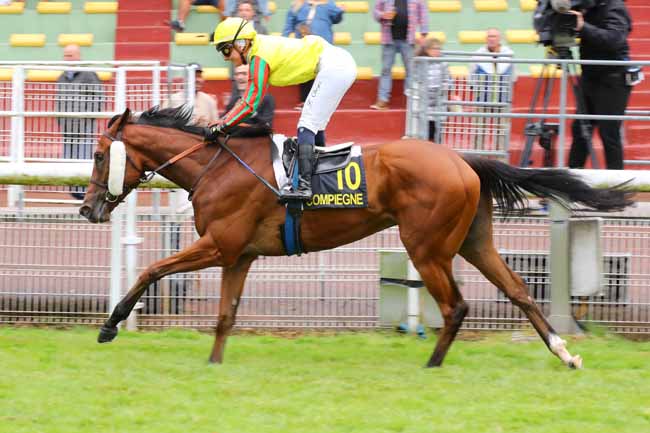 Arrivée quinté pmu PRIX DE PONDRON à COMPIEGNE