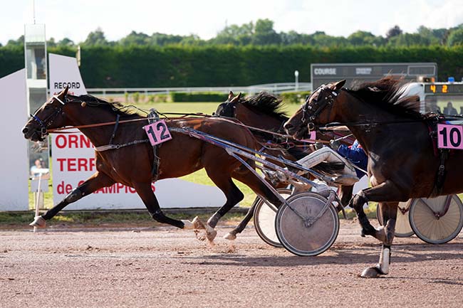 Photo d'arrivée de la course pmu PRIX ESTELLE MOSSELY à ARGENTAN le Lundi 15 juillet 2024