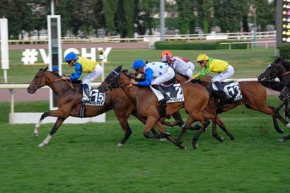 Photo d'arrivée de la course pmu PRIX DE LIGNIERES à VICHY le Mardi 16 juillet 2024