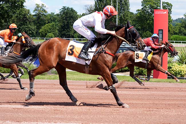 Photo d'arrivée de la course pmu PRIX DE LA PLACE DAUPHINE à ENGHIEN le Mercredi 17 juillet 2024