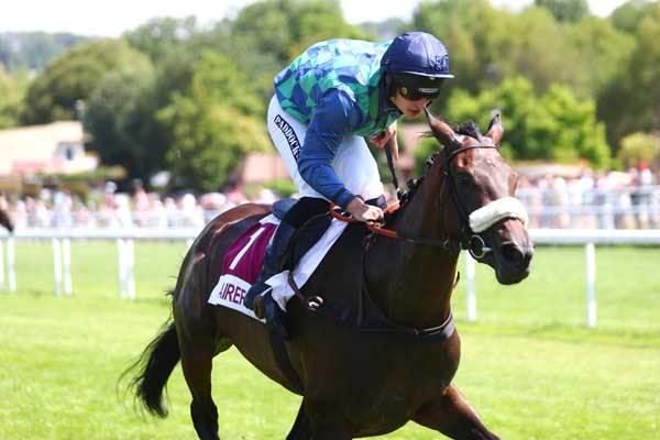 Photo d'arrivée de la course pmu PRIX DE LA DORETTE à CLAIREFONTAINE le Mercredi 17 juillet 2024