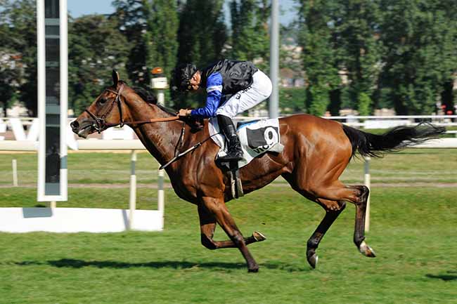 Photo d'arrivée de la course pmu PRIX MADAME JEAN COUTURIE à VICHY le Jeudi 18 juillet 2024