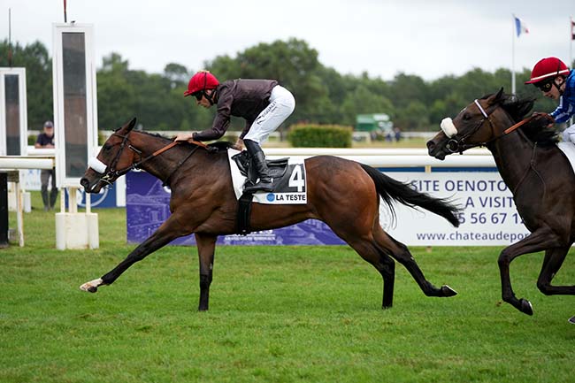 Photo d'arrivée de la course pmu PRIX MAISONS OMEGA à LA TESTE DE BUCH le Dimanche 21 juillet 2024