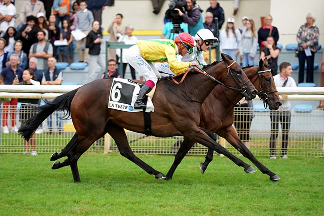 Photo d'arrivée de la course pmu PRIX GUEULETON ARCACHON à LA TESTE DE BUCH le Dimanche 21 juillet 2024