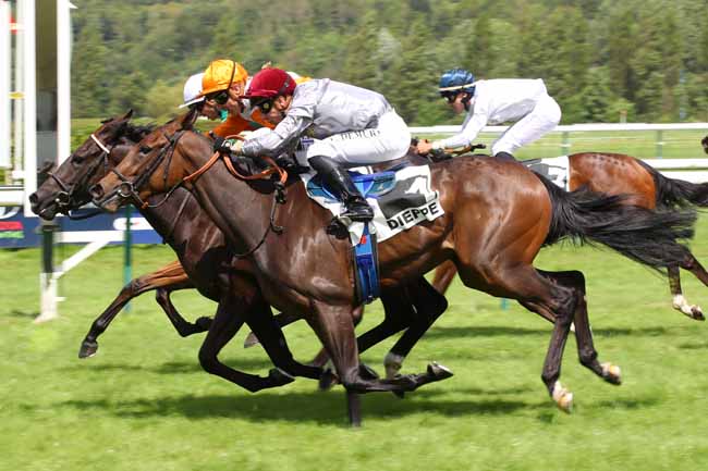 Photo d'arrivée de la course pmu PRIX DES ATELIERS DHSL BOIS (PRIX TREVISE) à DIEPPE le Mardi 23 juillet 2024