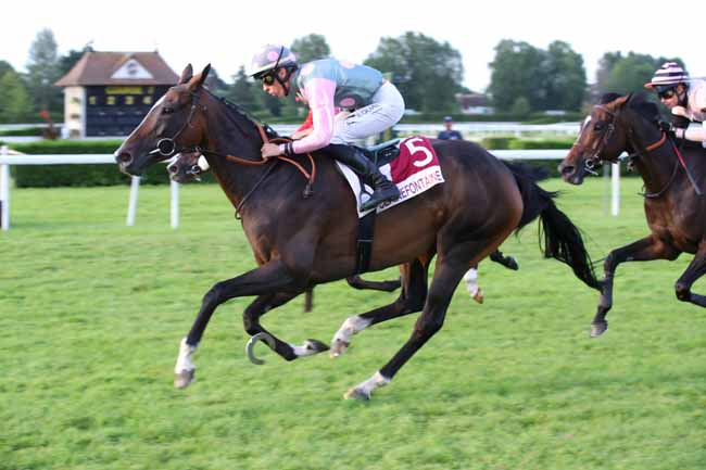 Photo d'arrivée de la course pmu PRIX FROMAGERIE GRAINDORGE (PRIX DES MAGNOLIAS) à CLAIREFONTAINE le Mercredi 31 juillet 2024