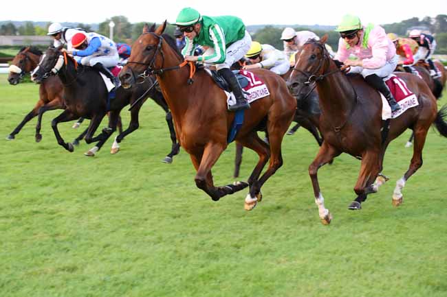 Photo d'arrivée de la course pmu PRIX CONFRERIE DES CHEVALIERS DU PONT-L'EVEQUE ET DU LIVAROT (PRIX DES PATURAGES) à CLAIREFONTAINE le Mercredi 31 juillet 2024