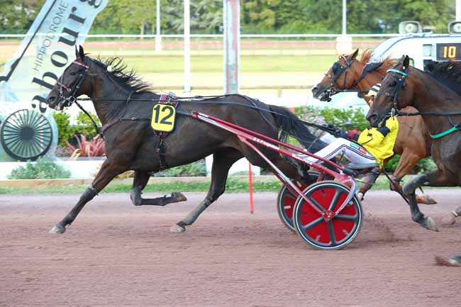 Arrivée quinté pmu PRIX DES LYCOPODES à CABOURG