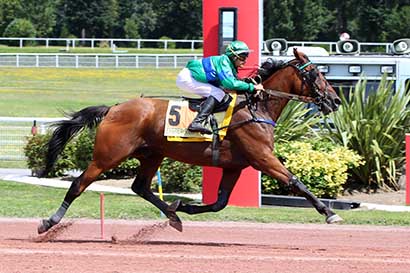 Photo d'arrivée de la course pmu PRIX DE LA PORTE DE PLAISANCE à ENGHIEN le Dimanche 4 août 2024