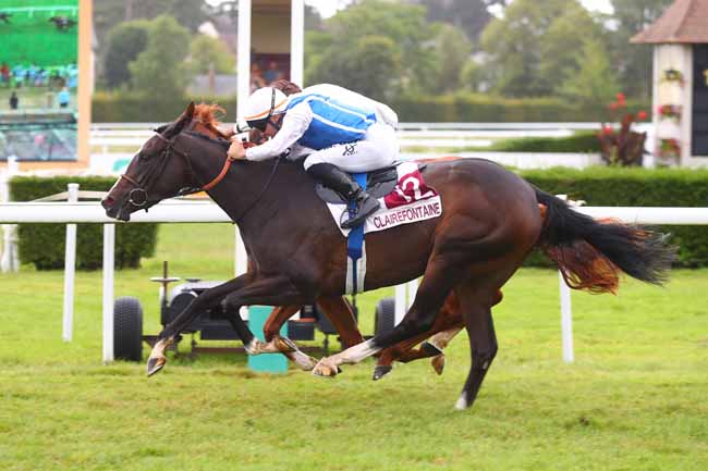 Photo d'arrivée de la course pmu PRIX RAPHAEL GIRET MARECHAL FERRANT (PRIX ROSELIERE) à CLAIREFONTAINE le Vendredi 9 août 2024