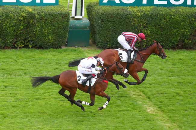 Photo d'arrivée de la course pmu PRIX WEATHER PERMITTING à AUTEUIL le Mardi 10 septembre 2024