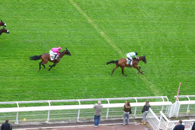 Photo d'arrivée de la course pmu PRIX ACHILLE-FOULD à AUTEUIL le Mardi 10 septembre 2024