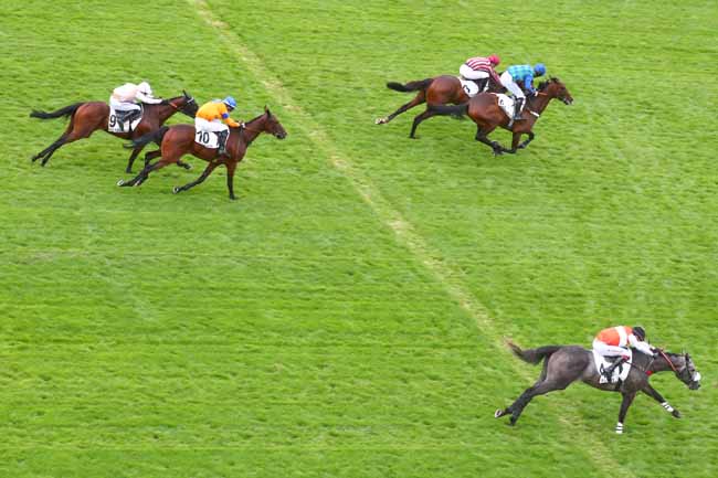 Photo d'arrivée de la course pmu PRIX DES PLATANES à AUTEUIL le Mardi 10 septembre 2024