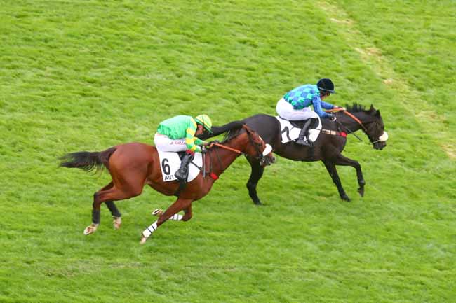 Photo d'arrivée de la course pmu PRIX MELANOS à AUTEUIL le Mardi 10 septembre 2024