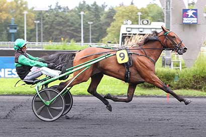 Photo d'arrivée de la course pmu PRIX DE NUEIL SUR LAYON à PARIS-VINCENNES le Mardi 10 septembre 2024