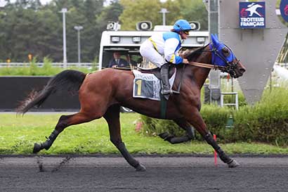 Photo d'arrivée de la course pmu PRIX MUSCA à PARIS-VINCENNES le Mardi 10 septembre 2024