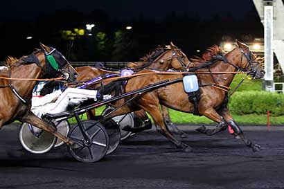 Photo d'arrivée de la course pmu PRIX KLYTIA à PARIS-VINCENNES le Mardi 10 septembre 2024