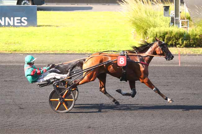 Photo d'arrivée de la course pmu PRIX DE L'HIPPODROME DE JOSSELIN à PARIS-VINCENNES le Jeudi 19 septembre 2024