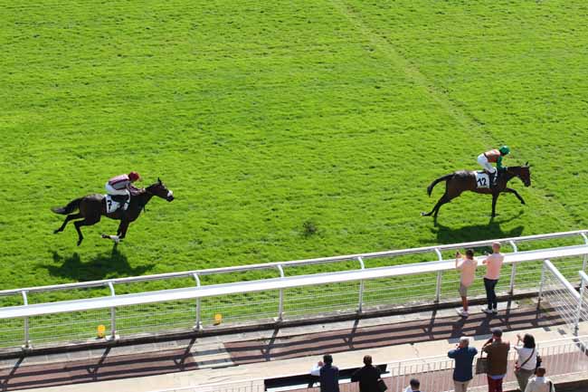 Photo d'arrivée de la course pmu PRIX FINOT (POULICHES) à AUTEUIL le Jeudi 19 septembre 2024