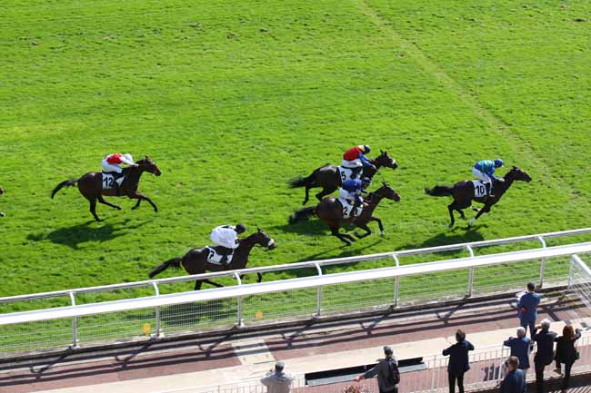 Photo d'arrivée de la course pmu PRIX FINOT (POULICHES) à AUTEUIL le Jeudi 19 septembre 2024