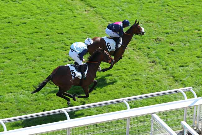 Photo d'arrivée de la course pmu PRIX ROBERT LEJEUNE à AUTEUIL le Jeudi 19 septembre 2024