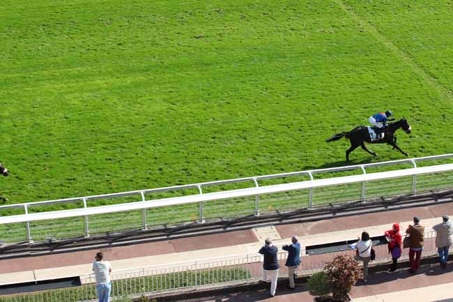 Photo d'arrivée de la course pmu PRIX PIERRE ET BERNARD CYPRES à AUTEUIL le Jeudi 19 septembre 2024