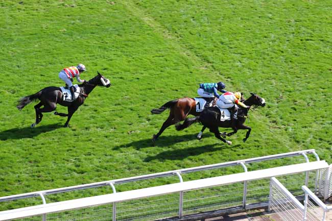 Photo d'arrivée de la course pmu PRIX D'ANGERS à AUTEUIL le Jeudi 19 septembre 2024