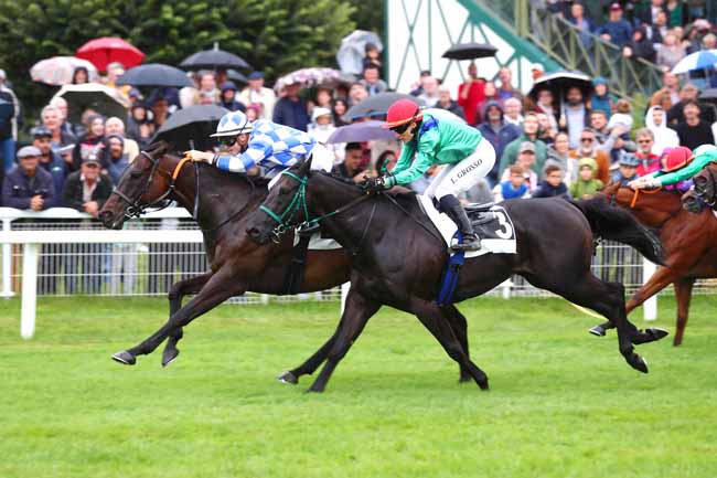 Photo d'arrivée de la course pmu PRIX RADIO EVASION (PRIX DE LA GROTTE AUX CRISTAUX) à FONTAINEBLEAU le Dimanche 22 septembre 2024