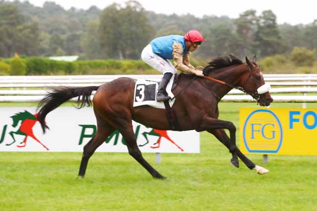 Photo d'arrivée de la course pmu PRIX LABEL EQUURES à FONTAINEBLEAU le Dimanche 22 septembre 2024