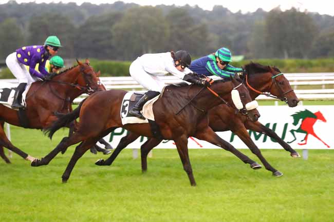 Photo d'arrivée de la course pmu PRIX DE L'IMPERATRICE EUGENIE à FONTAINEBLEAU le Dimanche 22 septembre 2024