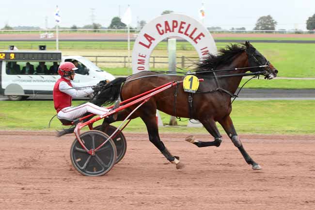 Photo d'arrivée de la course pmu PRIX DES DONNEURS D'ORGANES DE L'AISNE à LA CAPELLE le Lundi 23 septembre 2024