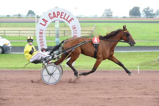 Photo d'arrivée de la course pmu PRIX CONSEIL DEPARTEMENTAL DE L'AISNE à LA CAPELLE le Lundi 23 septembre 2024