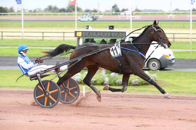 Photo d'arrivée de la course pmu PRIX 80 ANS DE L'AISNE NOUVELLE à LA CAPELLE le Lundi 23 septembre 2024