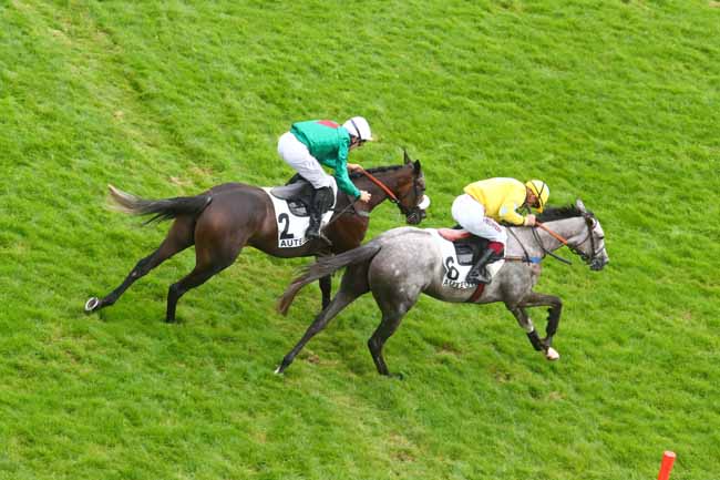 Photo d'arrivée de la course pmu PRIX CALABRAIS à AUTEUIL le Mardi 24 septembre 2024