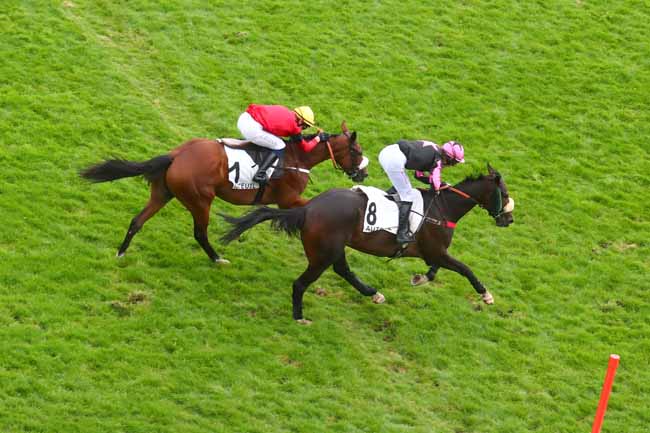 Photo d'arrivée de la course pmu PRIX PATRICK LEC à AUTEUIL le Mardi 24 septembre 2024