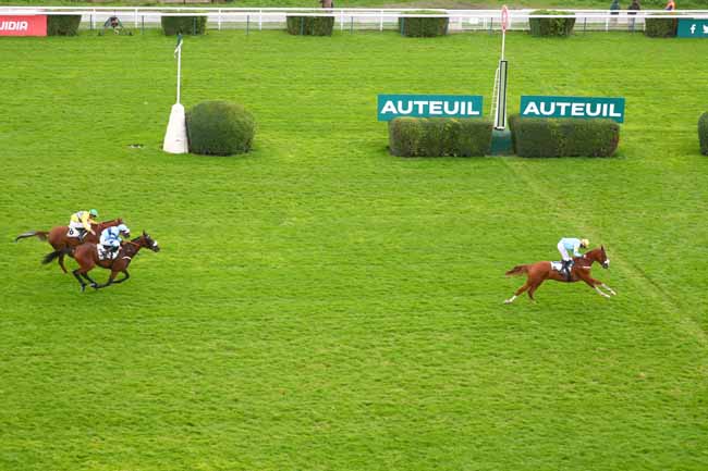 Photo d'arrivée de la course pmu PRIX VIOLON II à AUTEUIL le Mardi 24 septembre 2024