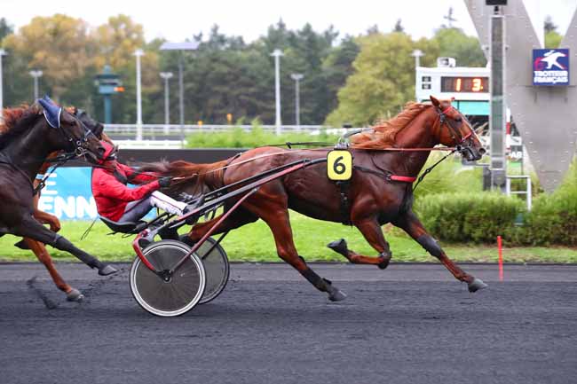 Photo d'arrivée de la course pmu PRIX EMILE BEZIERE à PARIS-VINCENNES le Mardi 24 septembre 2024